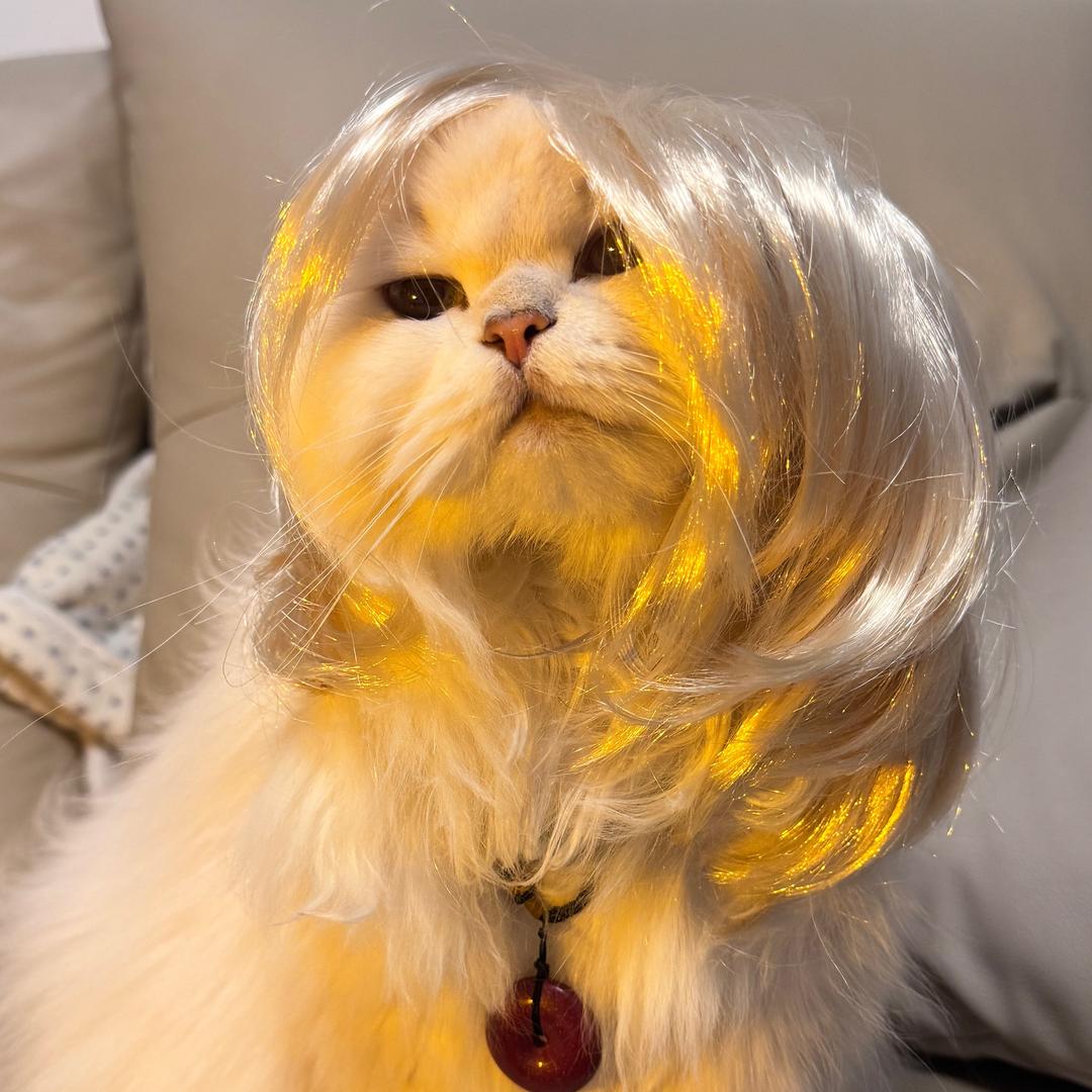 娜娜米🐱