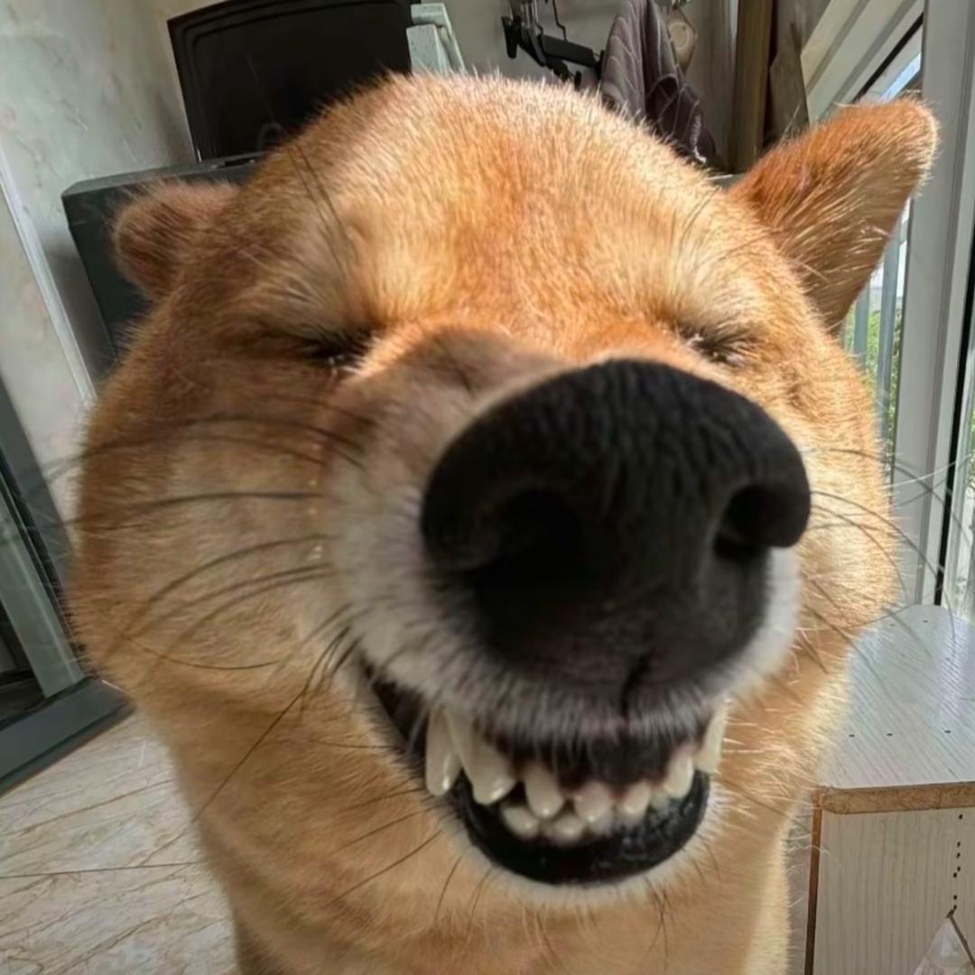 零零叁叁