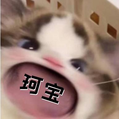 珂珂酱