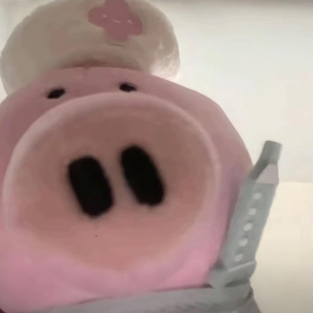 一个苹锅