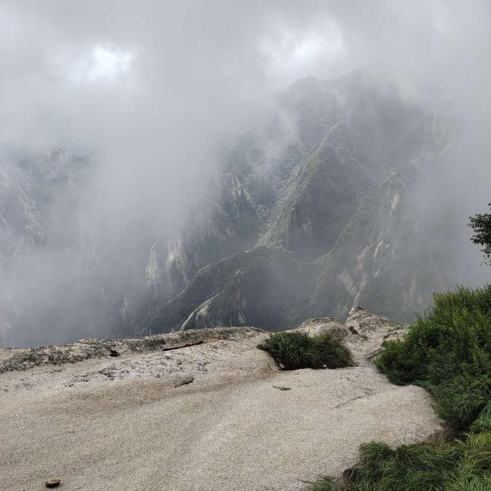 小可爱y