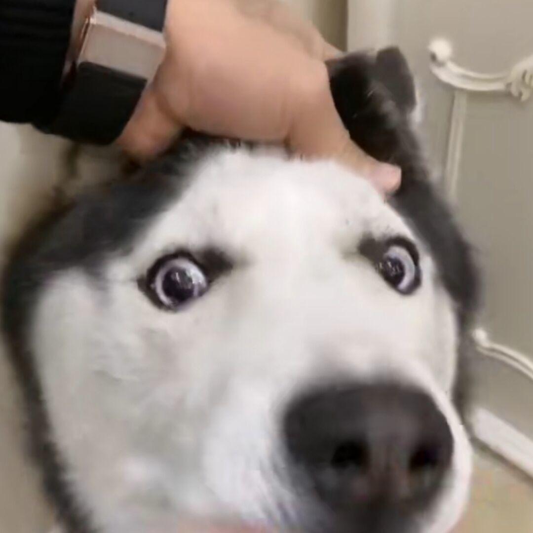 炸酱酸菜面