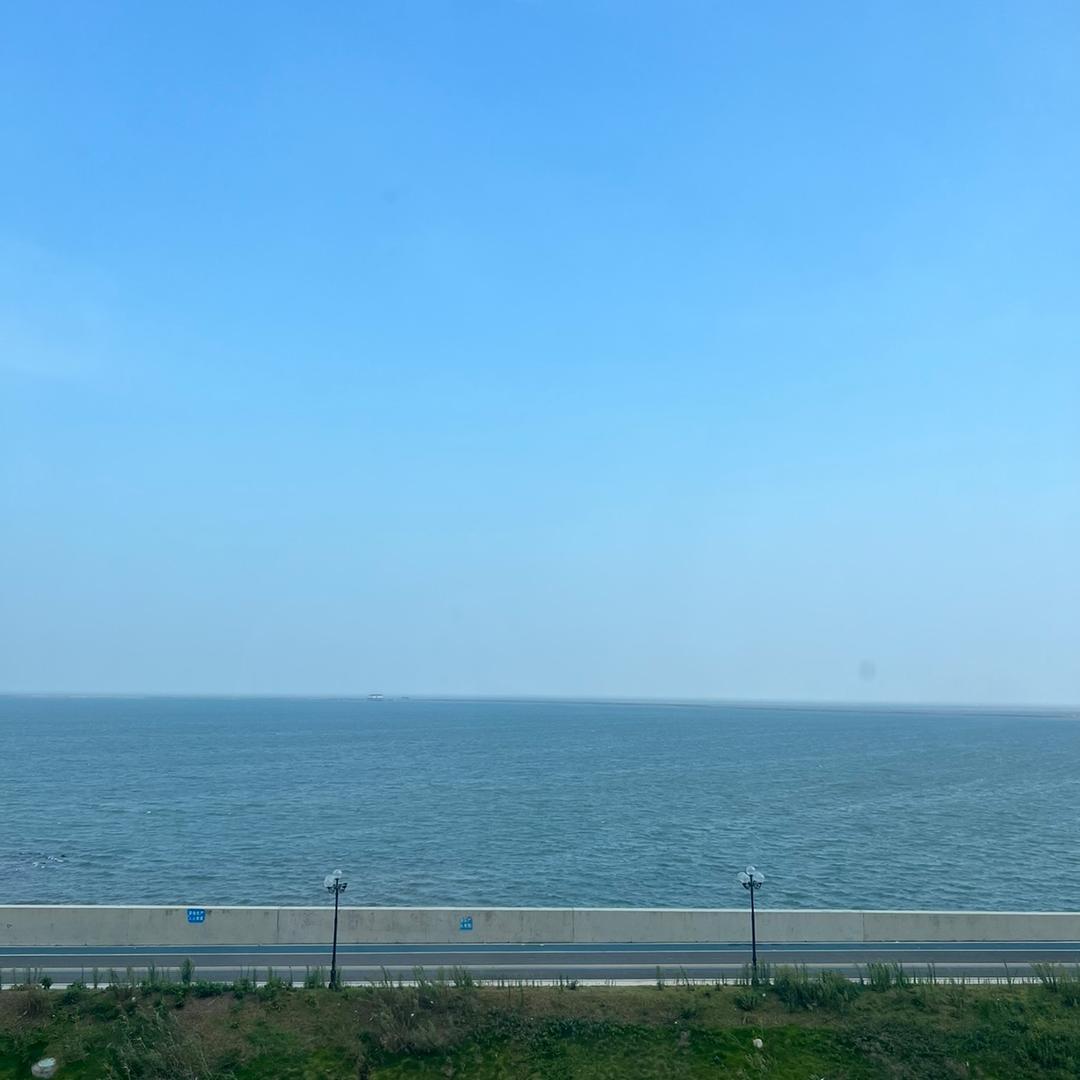 恰恰瓜子