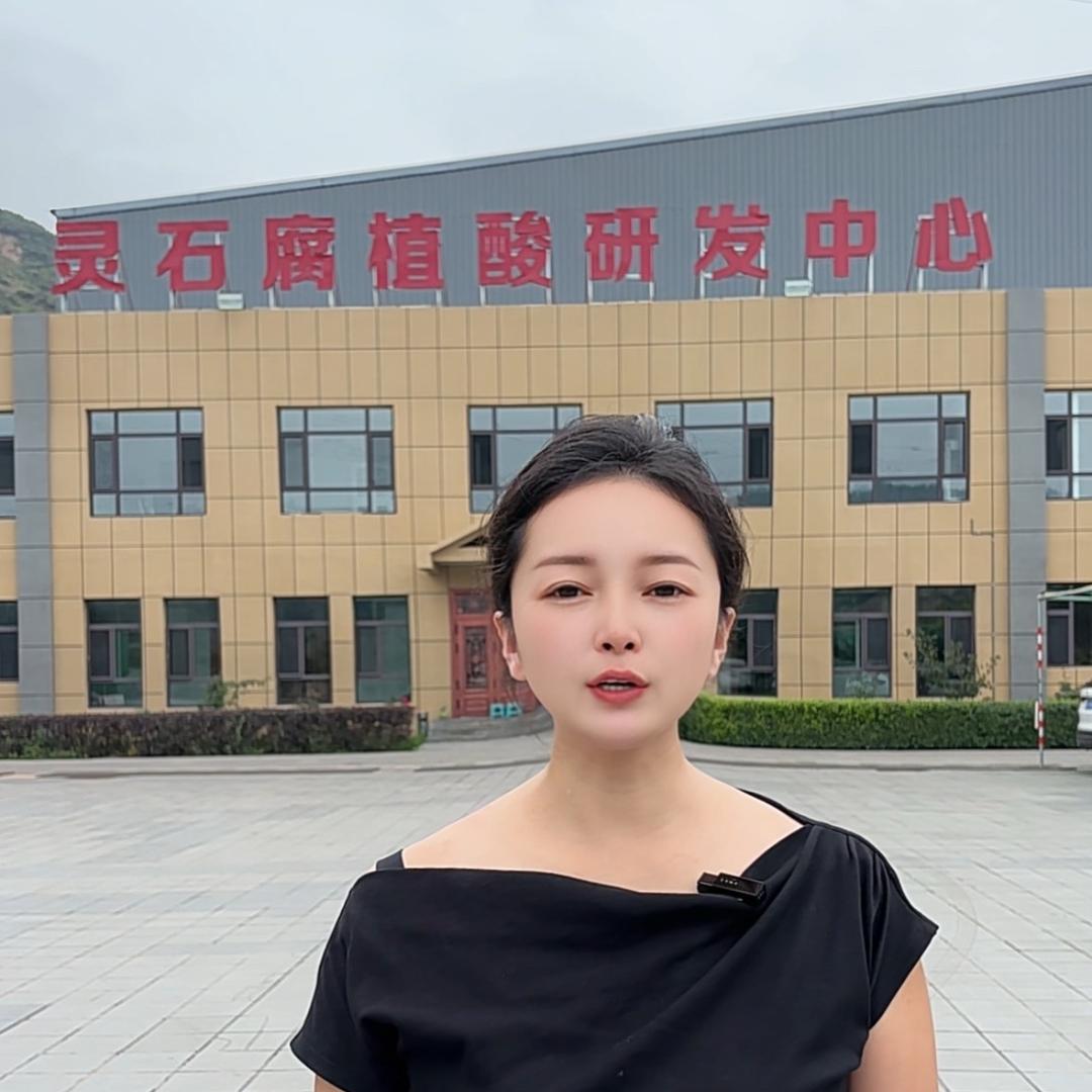 矿物源黄腐酸钾辰霞