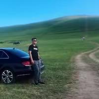 介廬书法