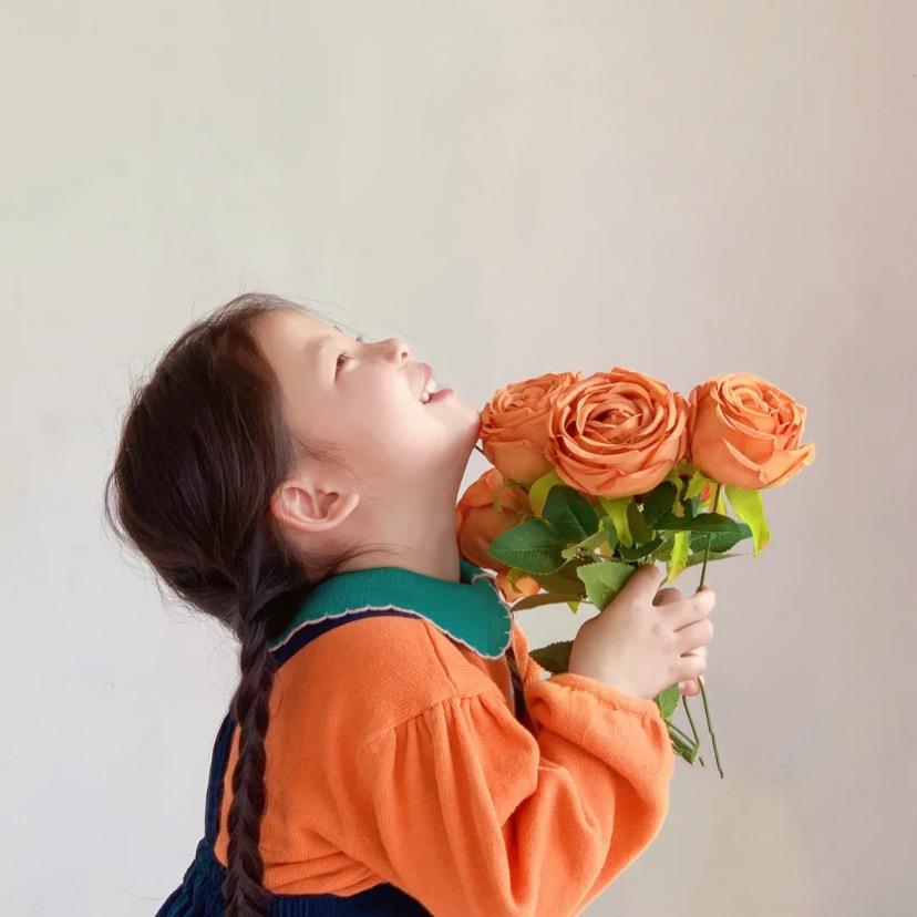 向向哇宝藏