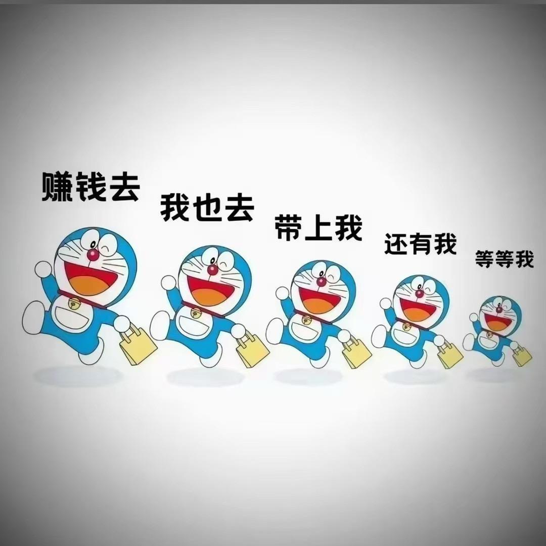 小丑鱼