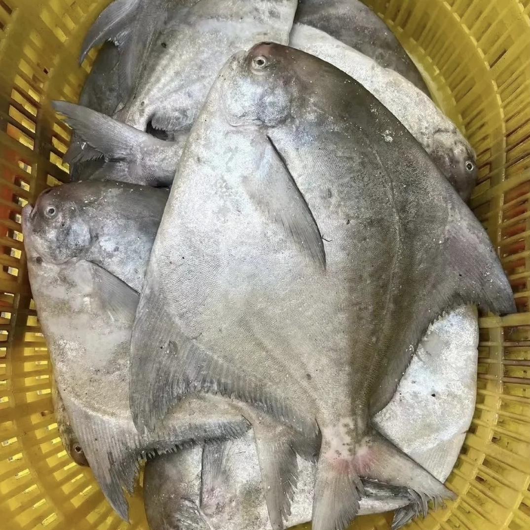 海鲜作坊