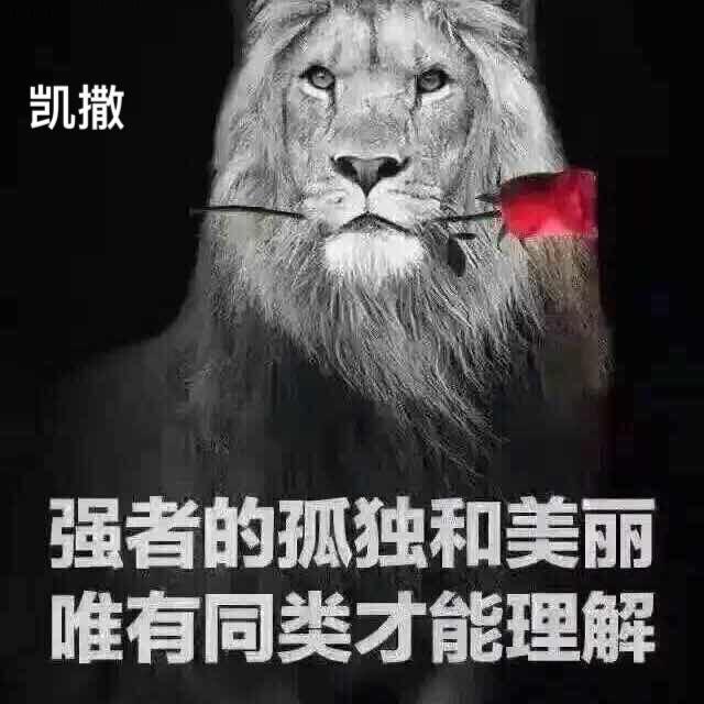 大连凯撒服装有限公司