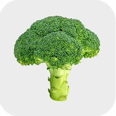 梁沅沅