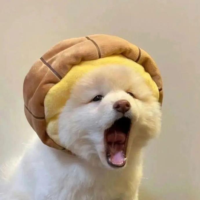 L＾🐼