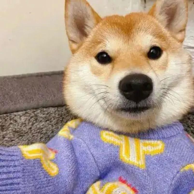 这里是小张