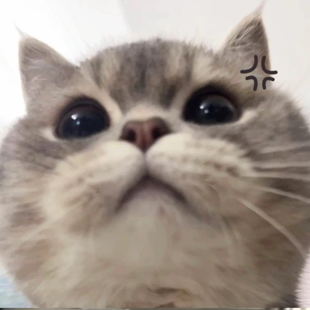 有点小羔冷