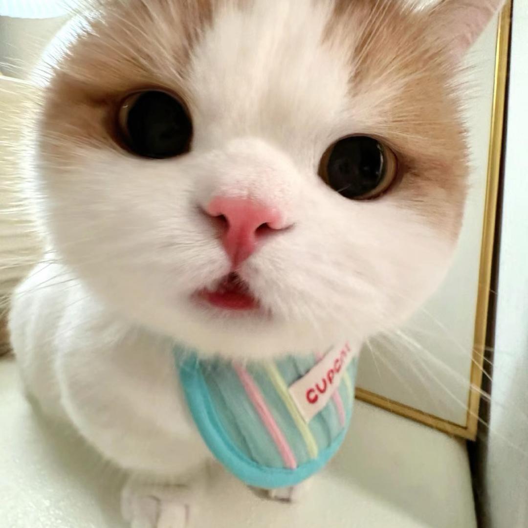 u 张 .