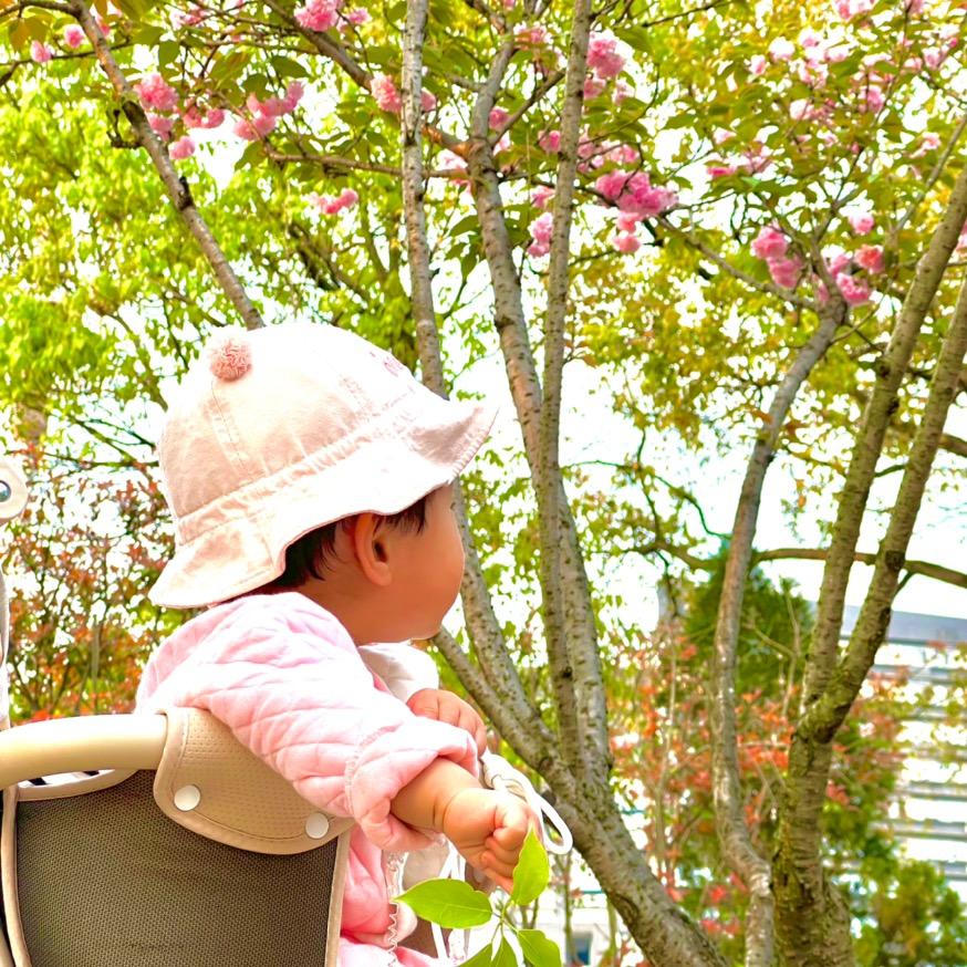 芮芮在前进