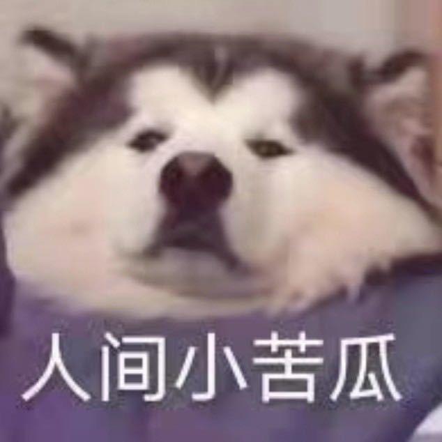 苦瓜睡不醒