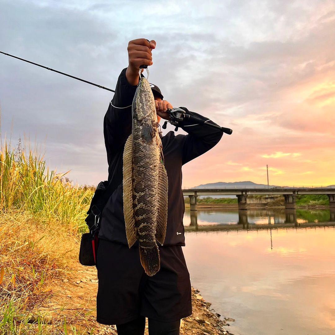 欢乐Lure派🎣𓆡 𓆜