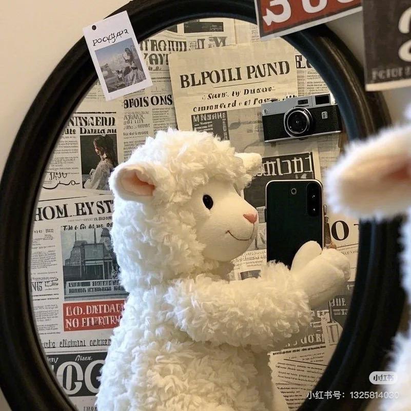 昭阳🐑