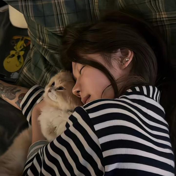 胖猫