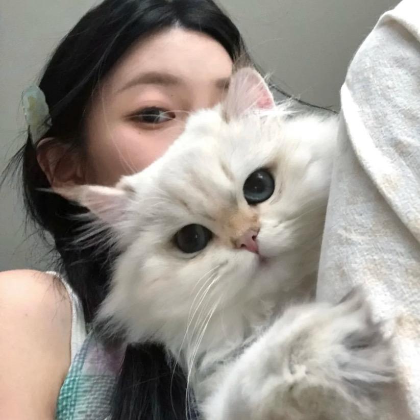 小熊可颂