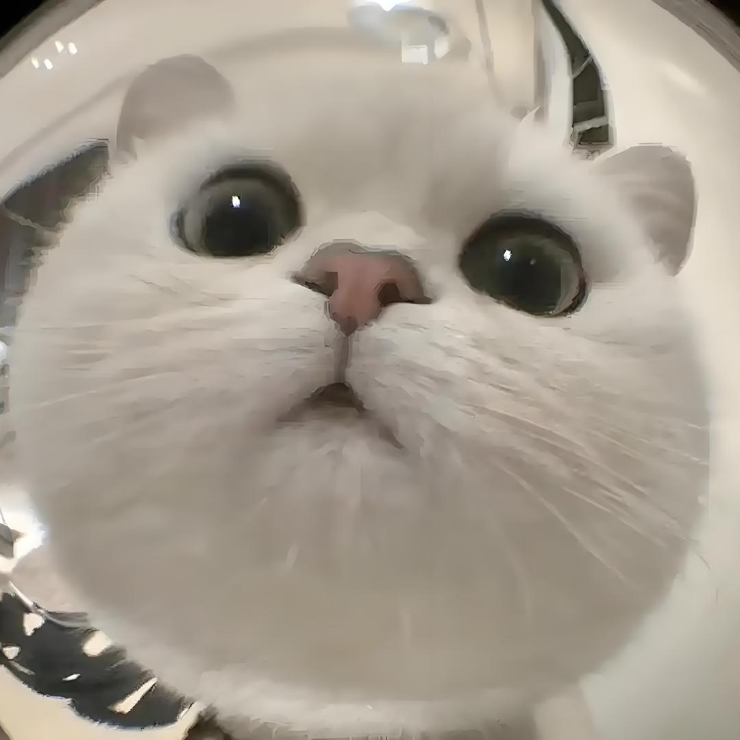 锦鲤玲