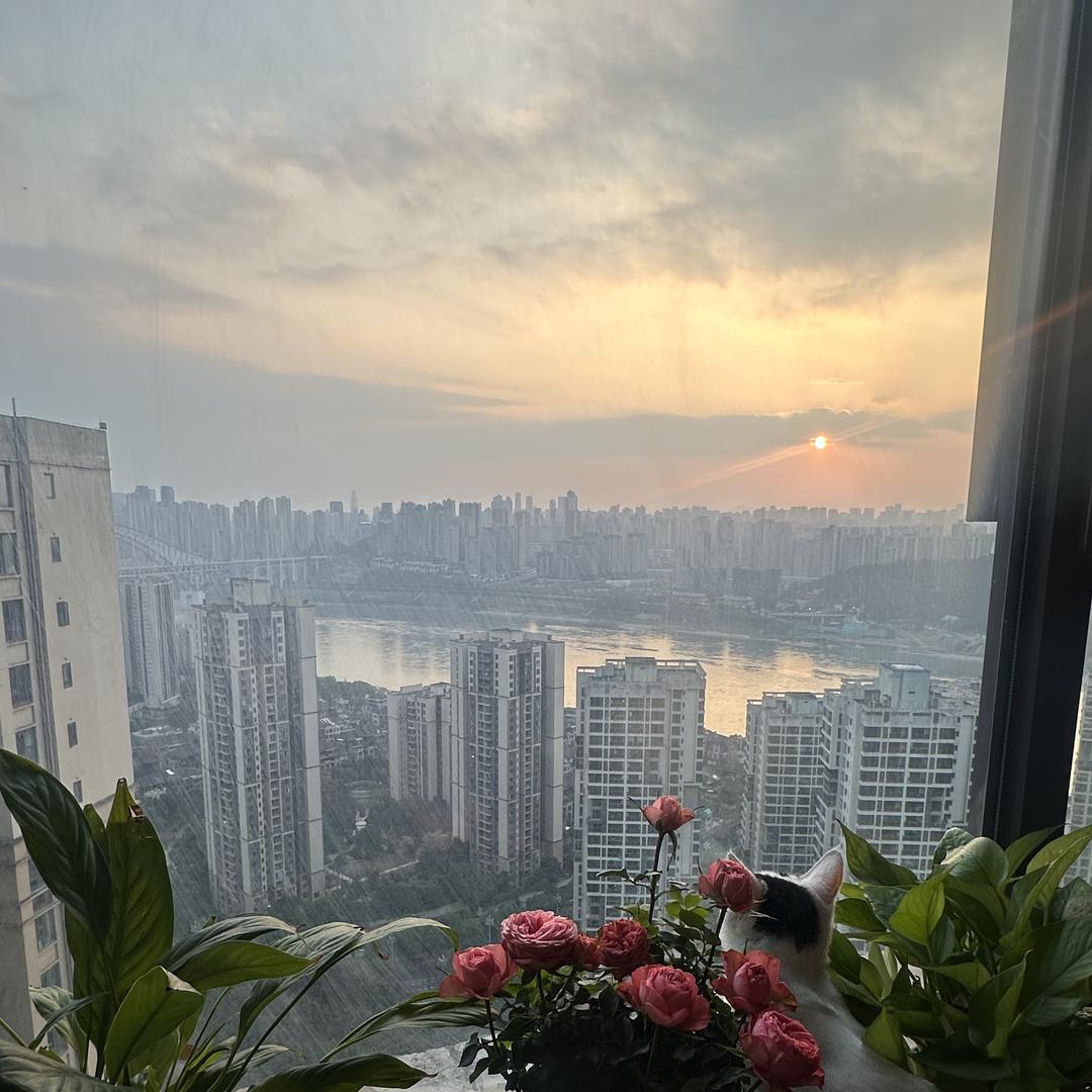 老吴批发源头工厂