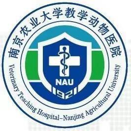 南京农大动物医院公司官方号