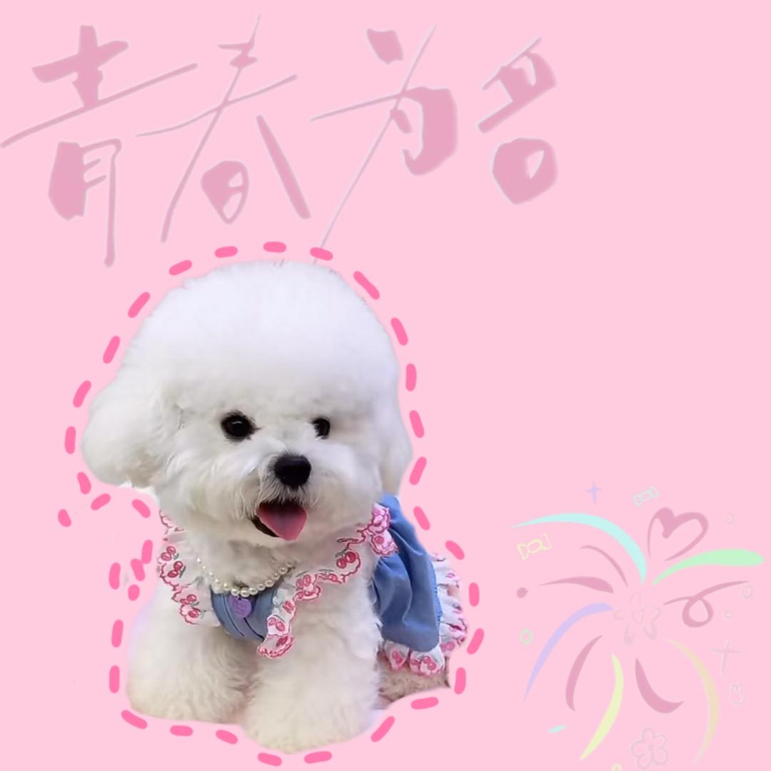 萧萧吾叶寒