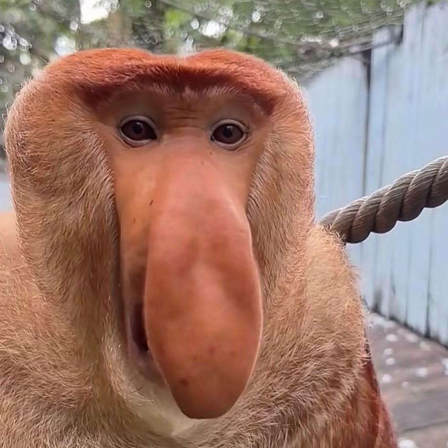 歹人