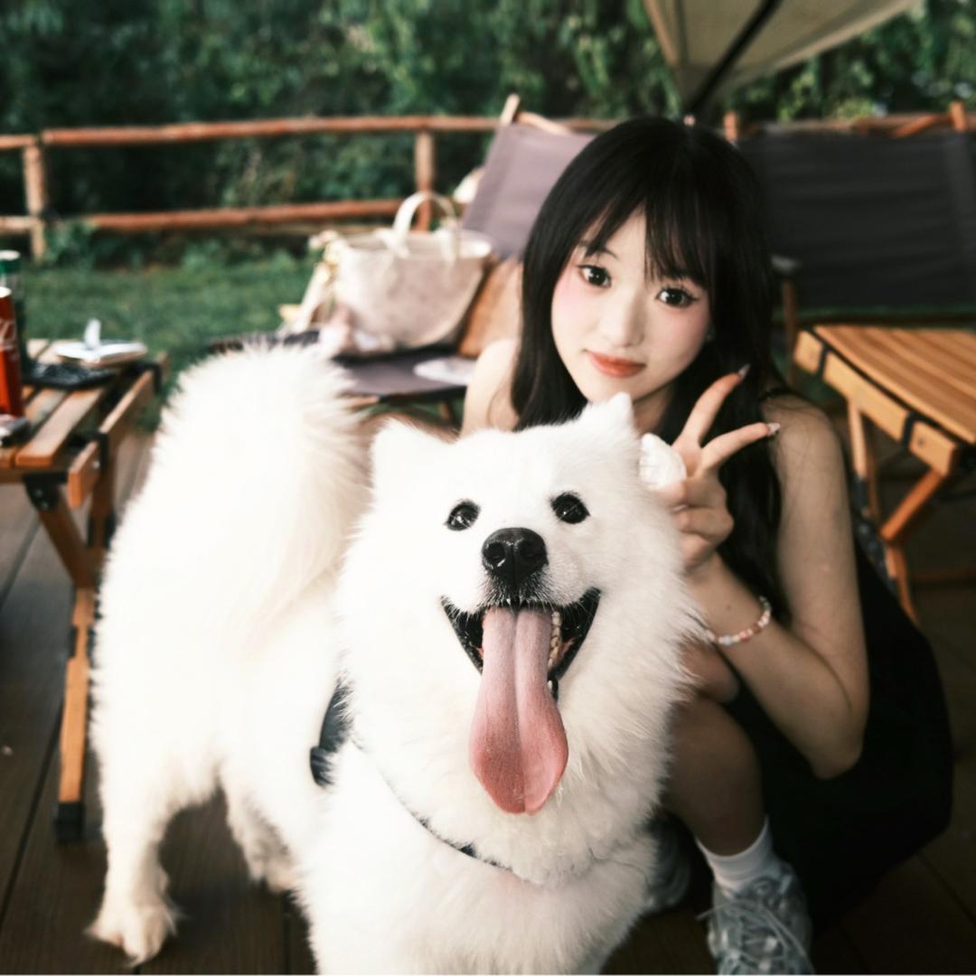 挖掘机挖挖挖