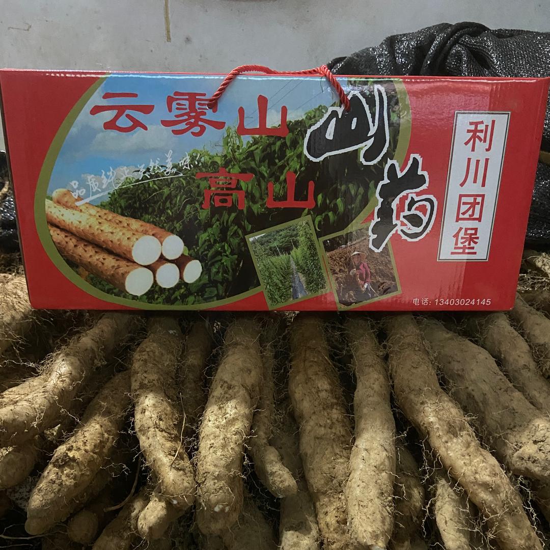 云雾山特色农业