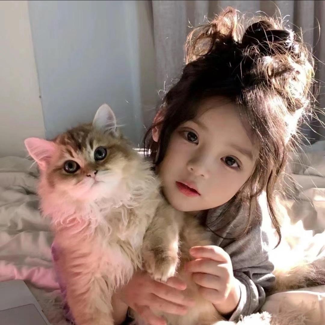 家有两只猫