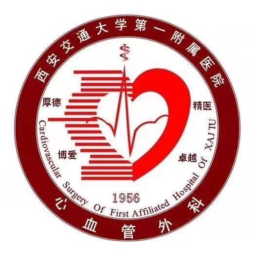 心外之声