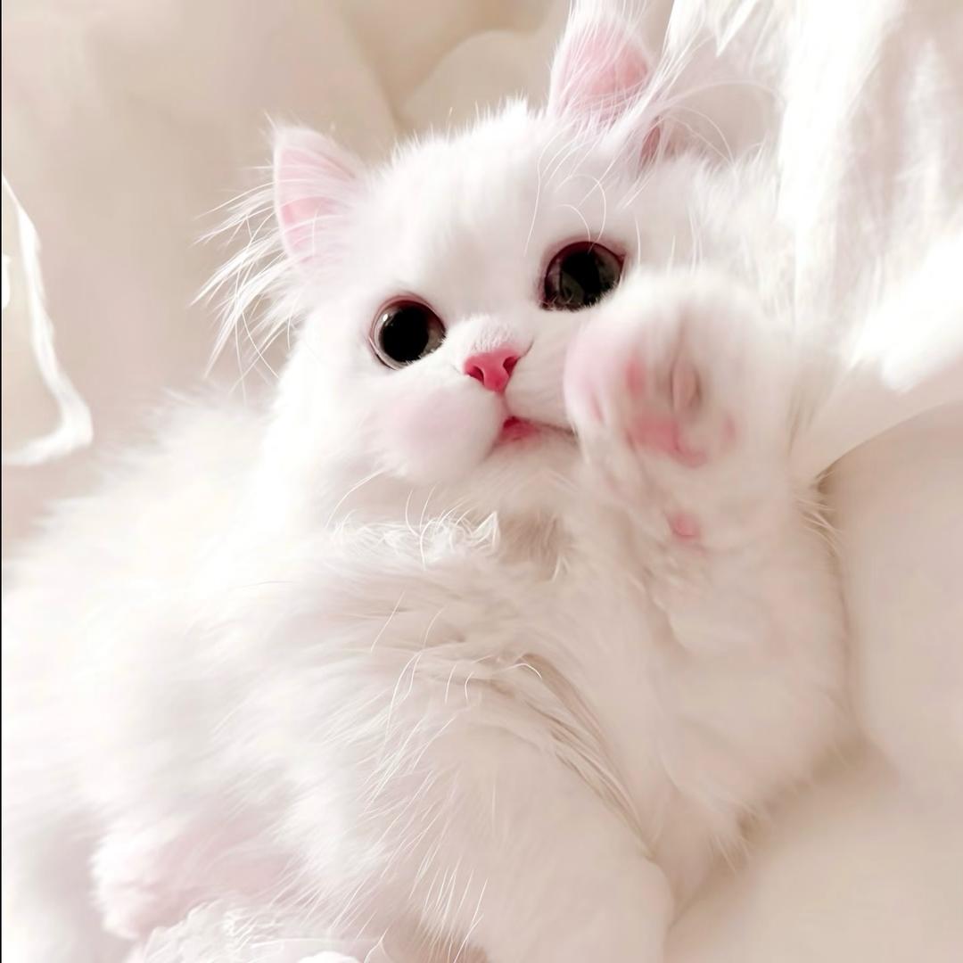 u_u