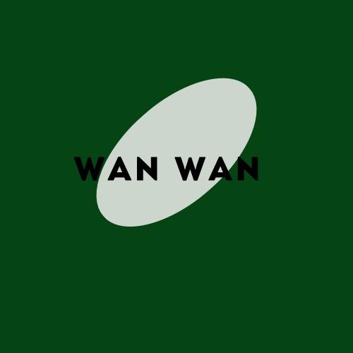 WanWan（此号私信不回‼️）