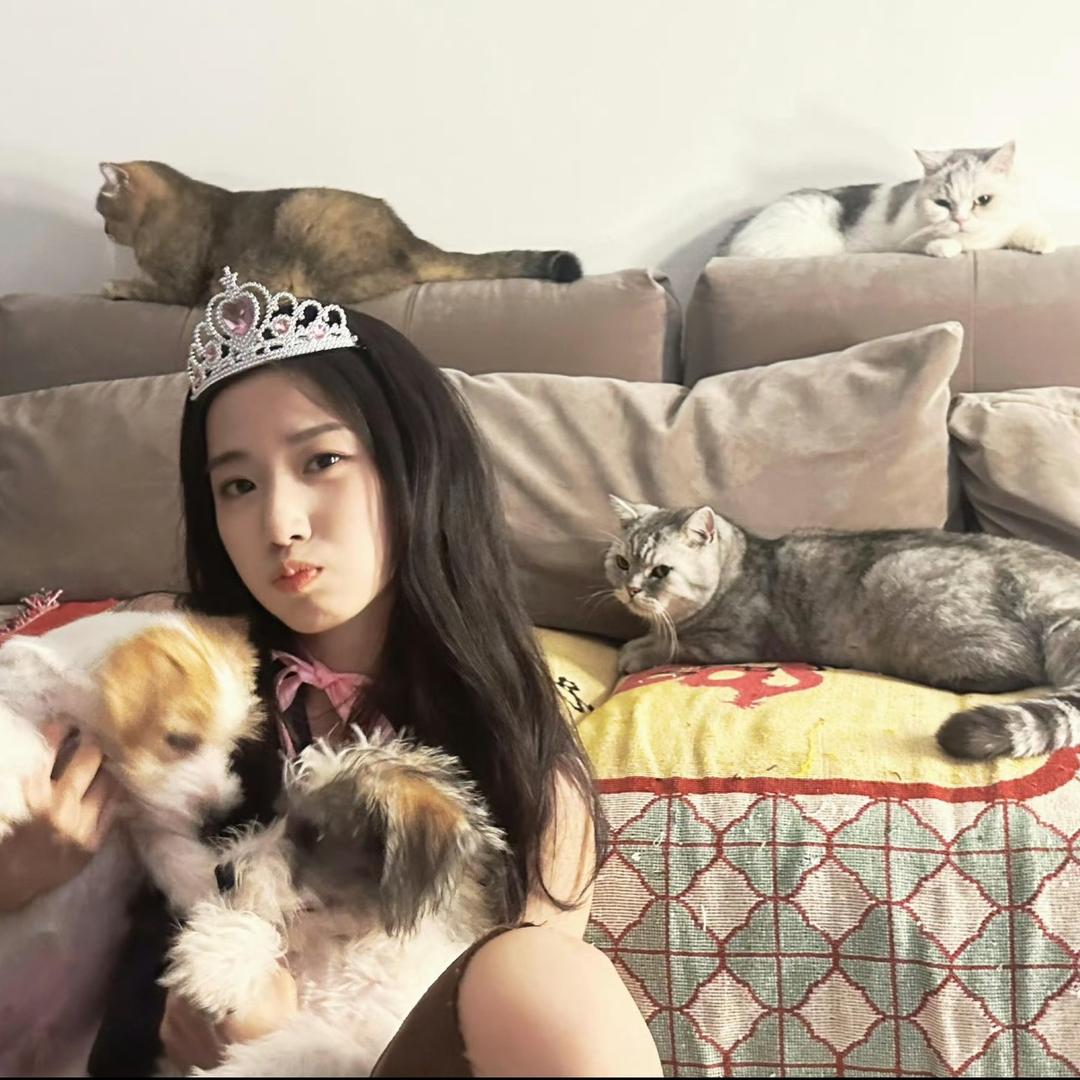 猫猫队队长🐈