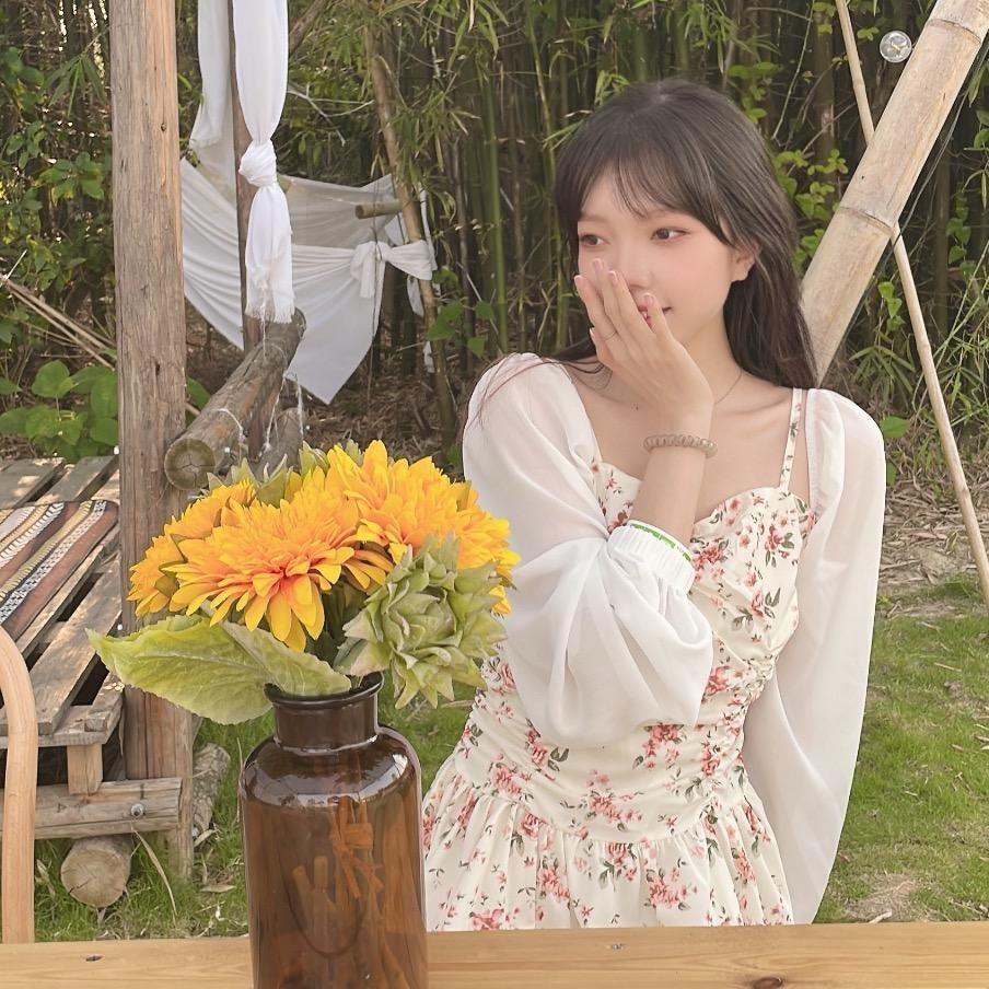 何茶茶cc.studio