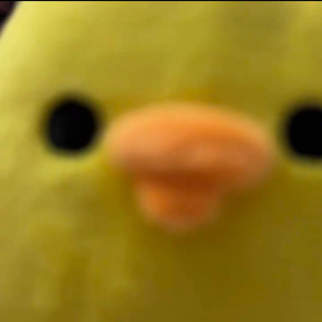 Gus