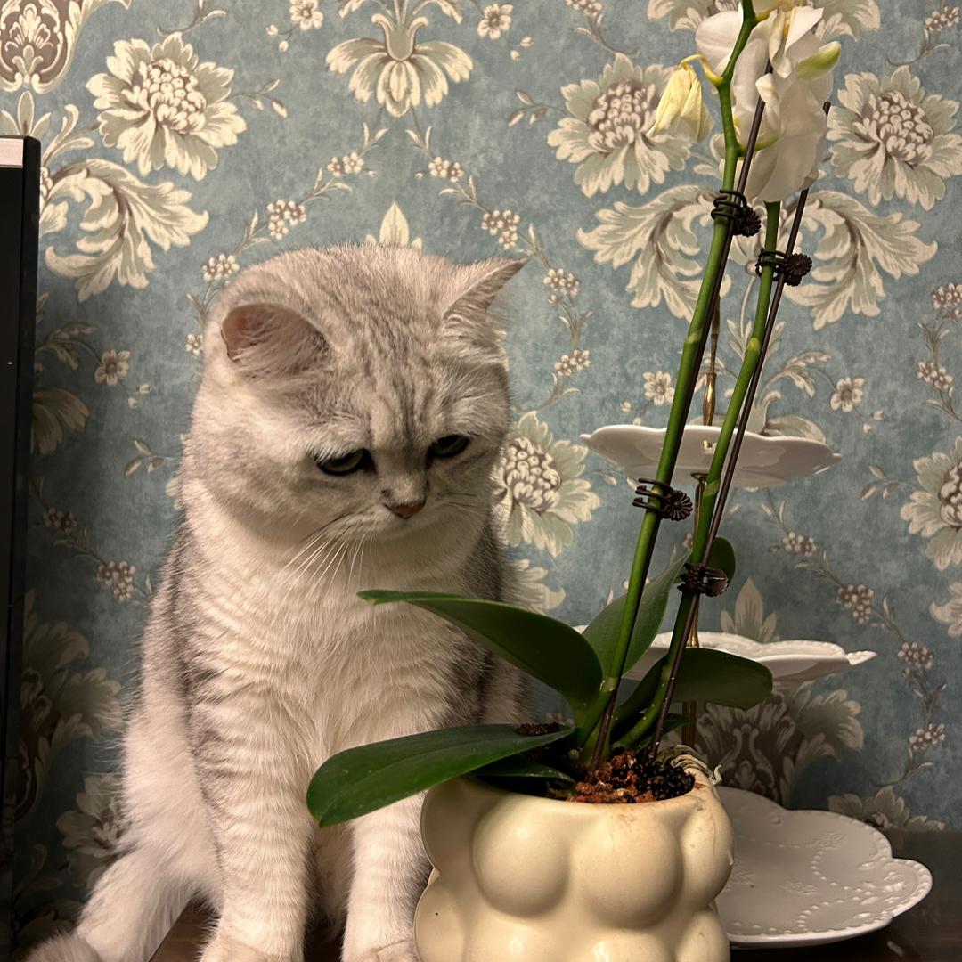 胖哒瘦哒点