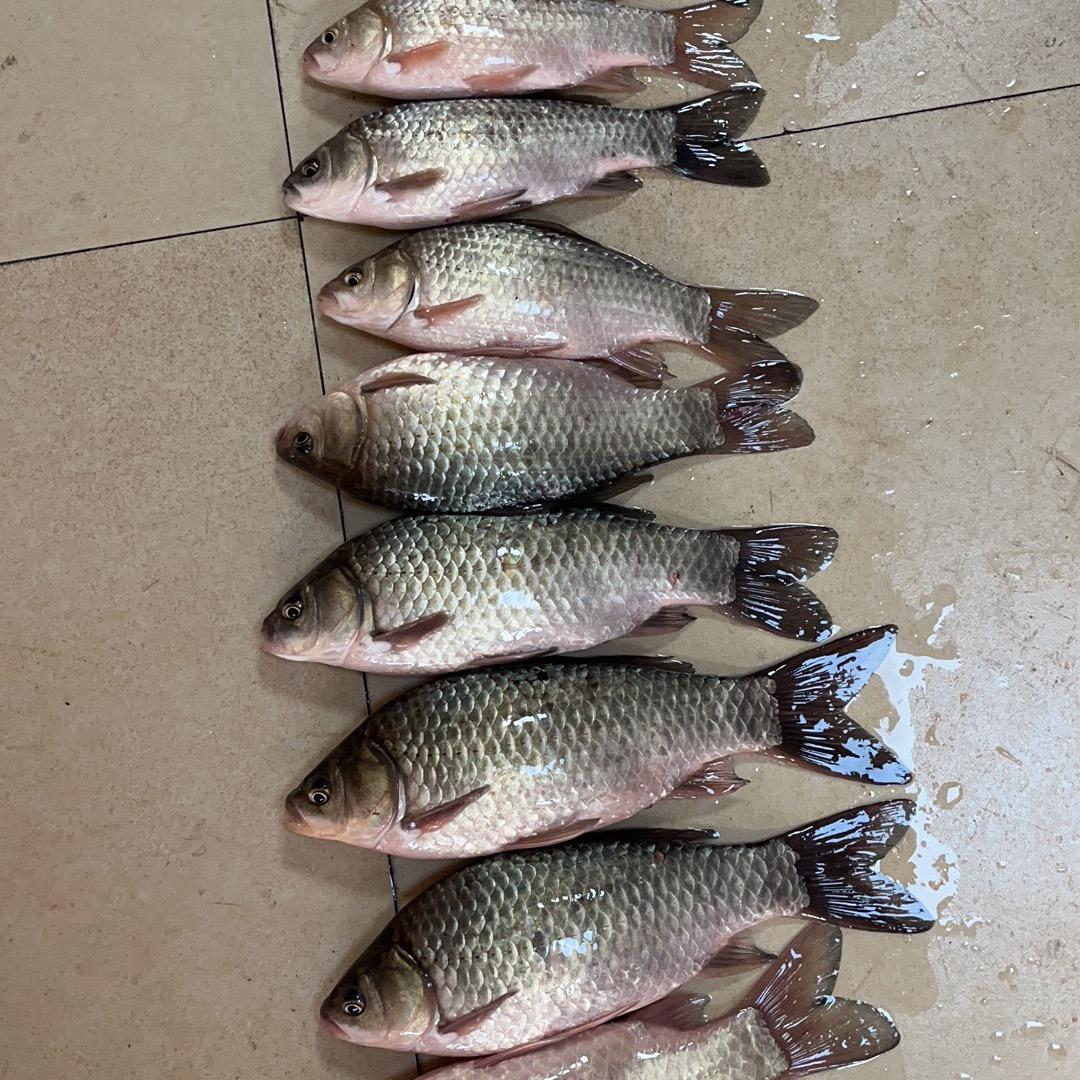 畅达物流