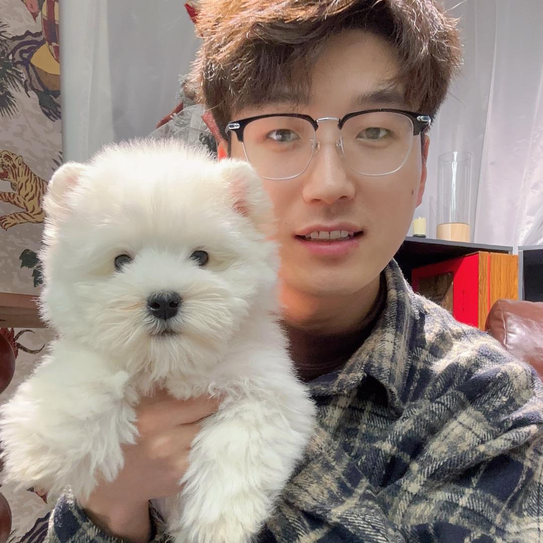 杭州小白家西高地犬舍