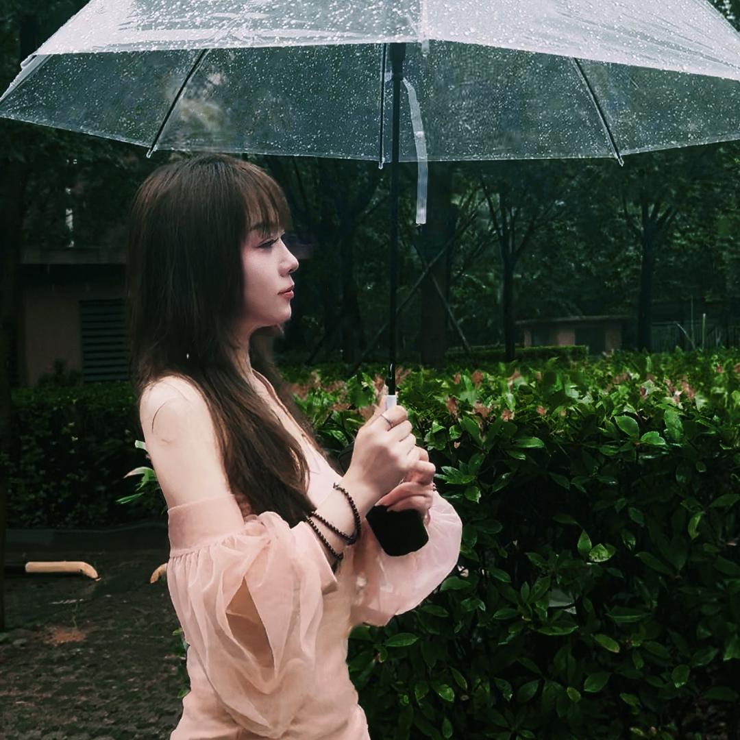 爱泡茶的小老虎