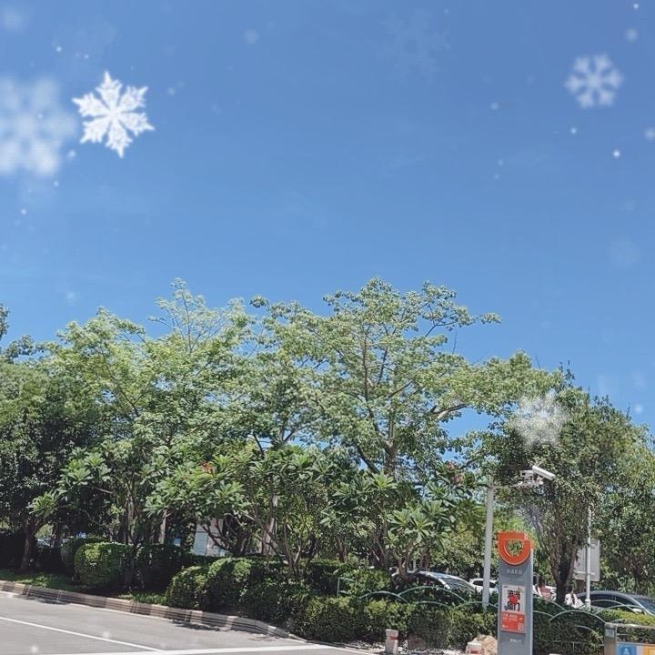 灰灰追田栩宁梓渝8