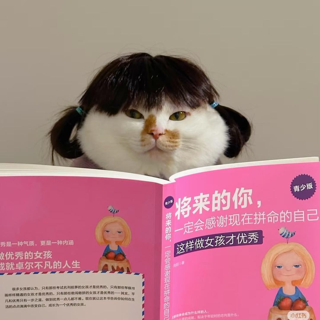 来包薯片吧