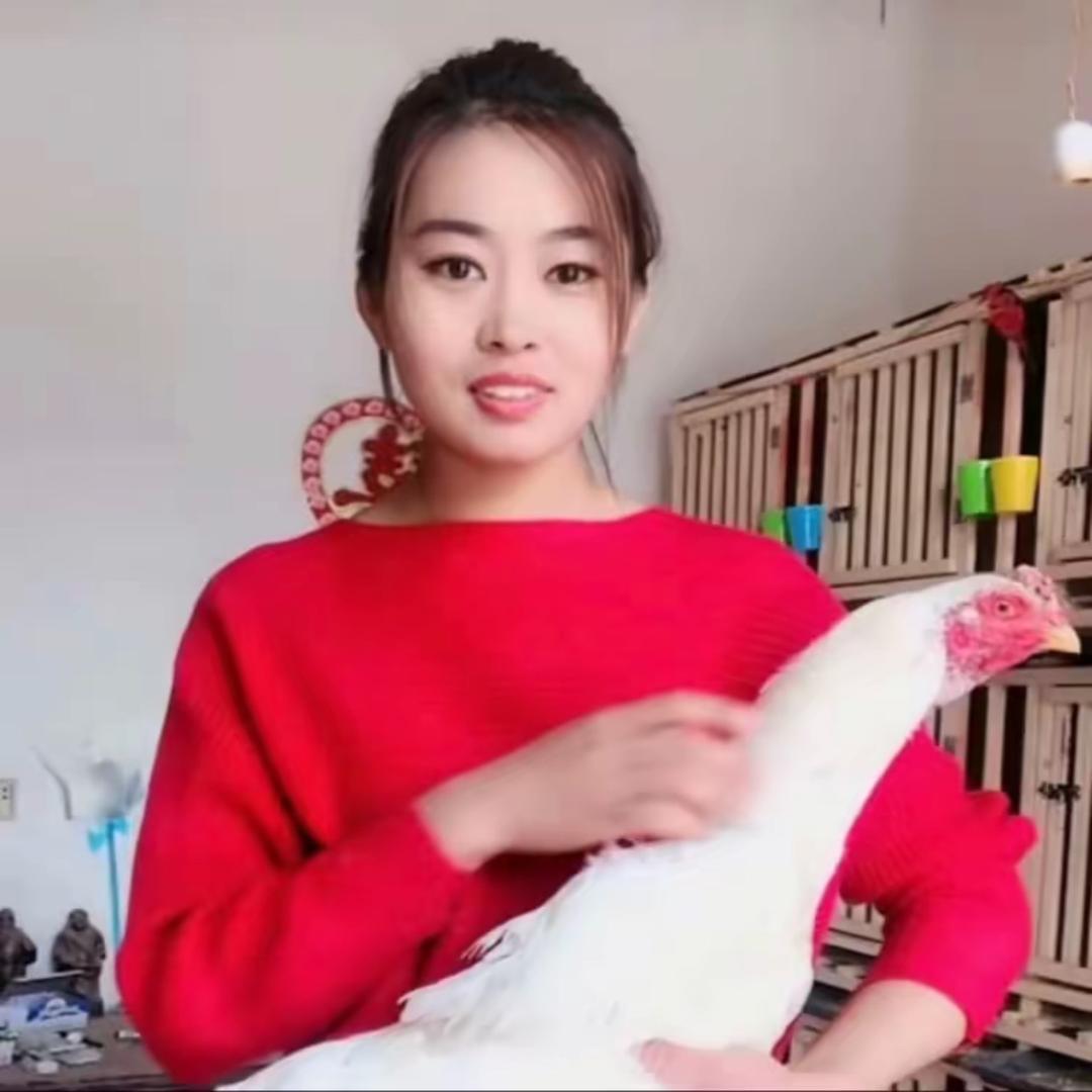 嘉祥县浩博珍禽养殖场