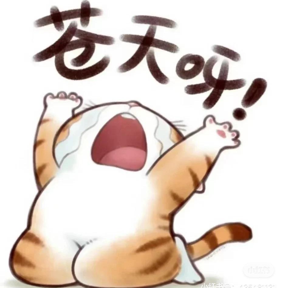芊逸