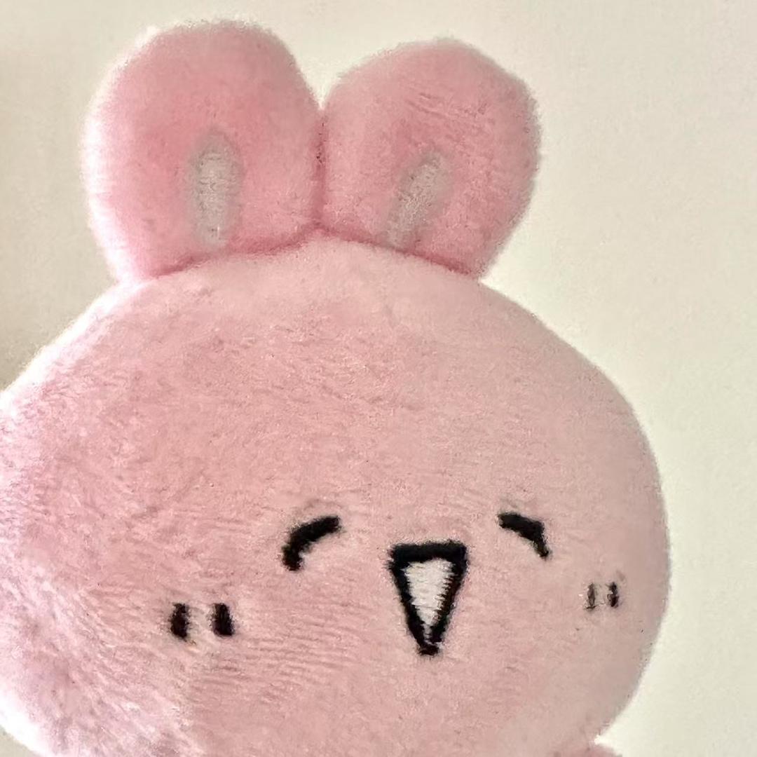 菜狗的小吴