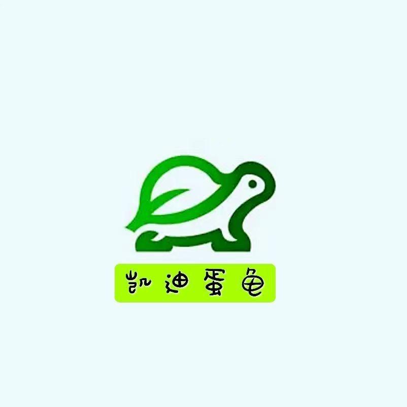 凯迪蛋龟