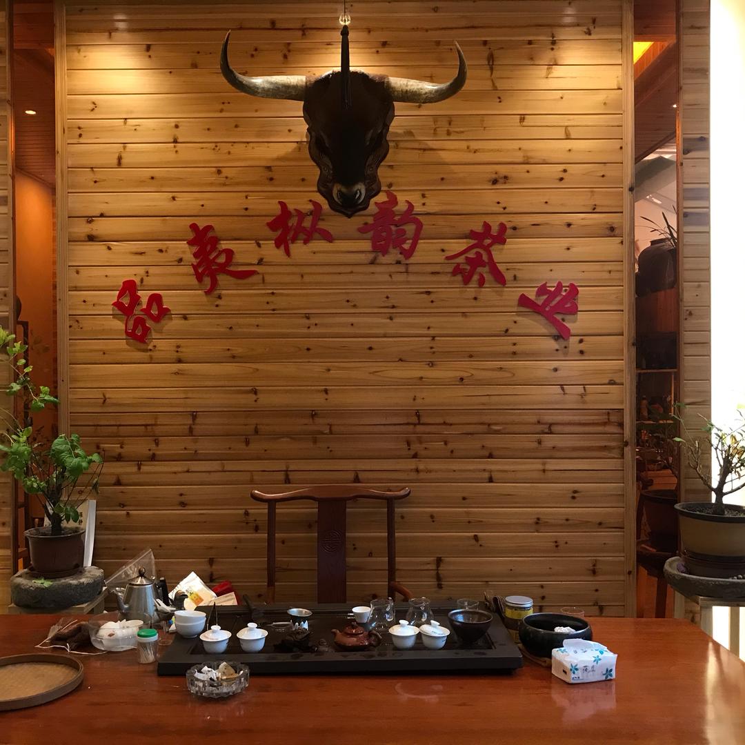 武夷山《品夷枞韵》茶业