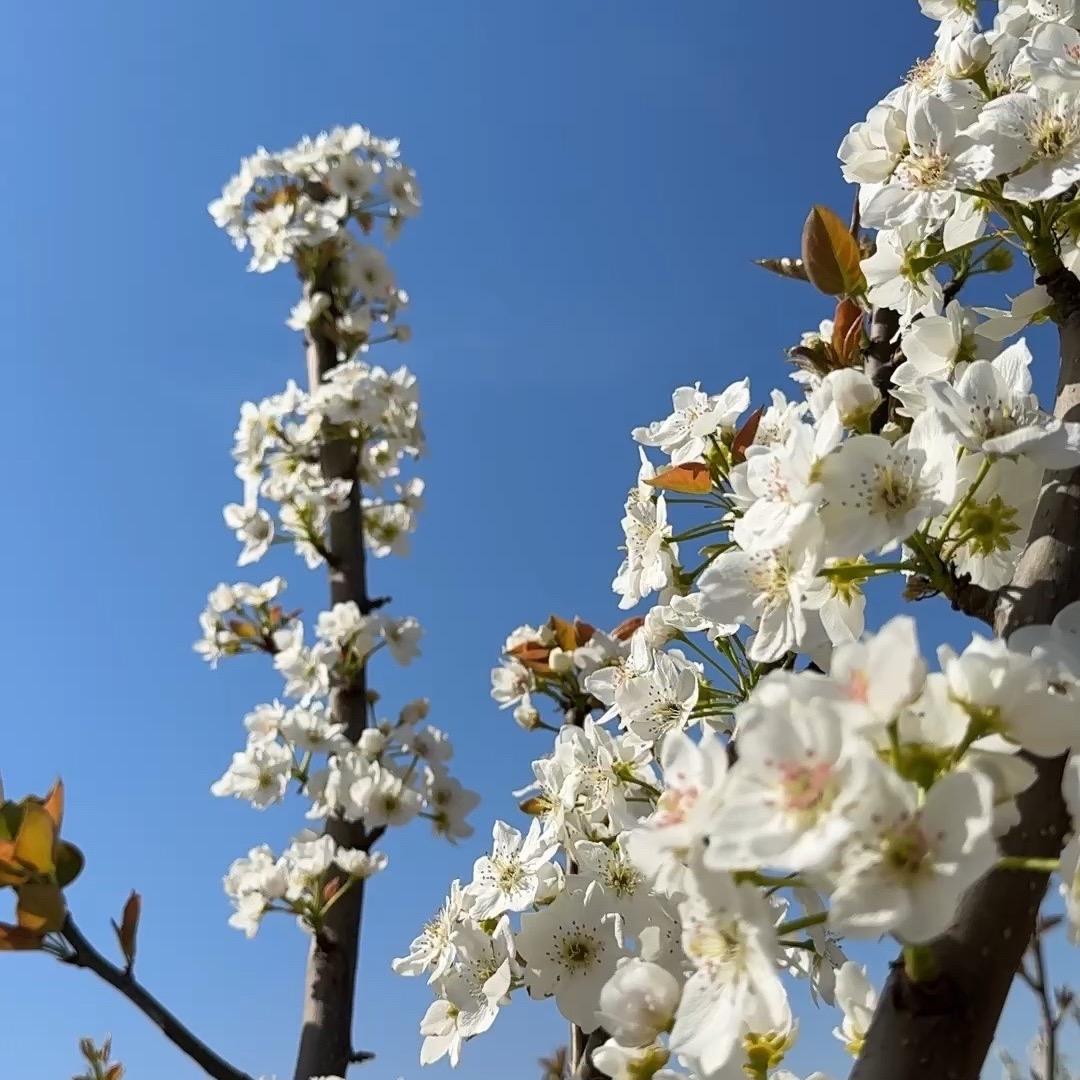 花好月圆～